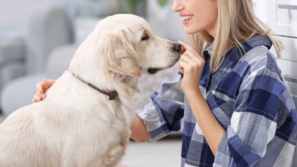 American Households Have at Least One Dog