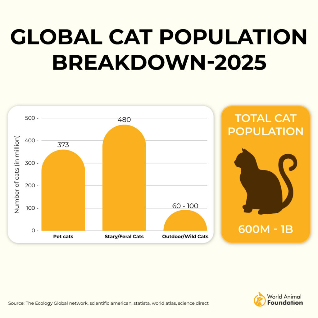 Global cat population statistics for 2025