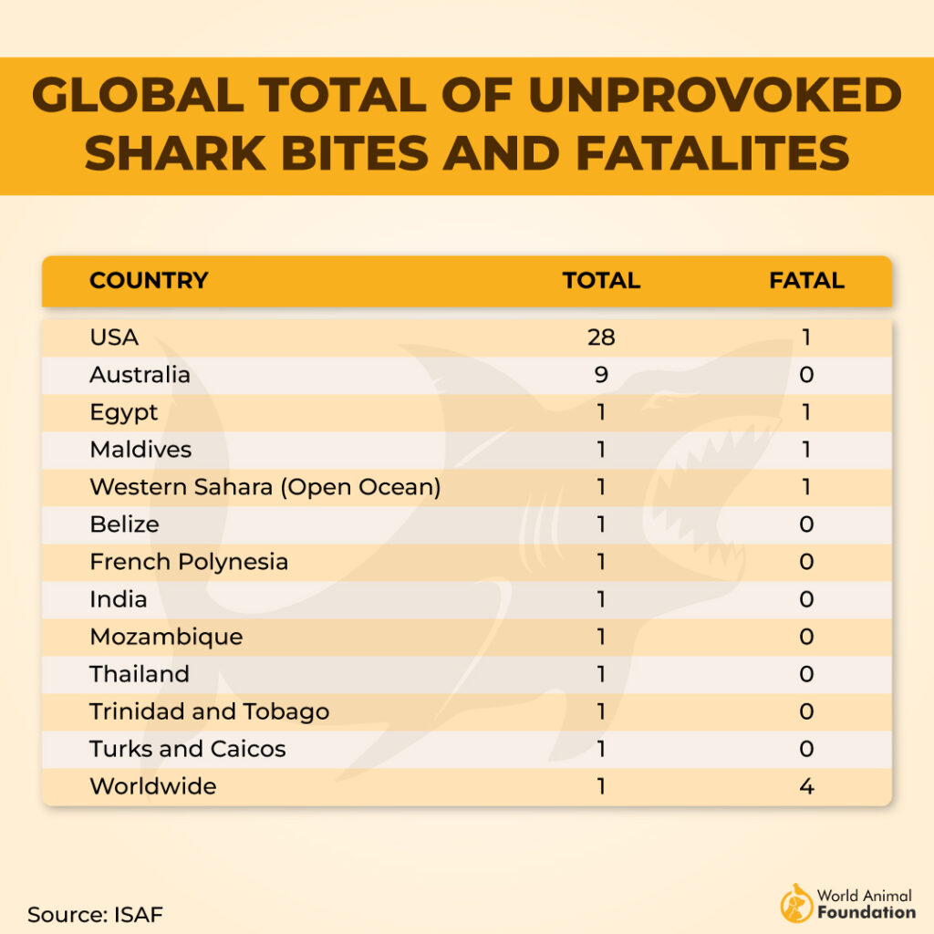 numbers killed by a shark