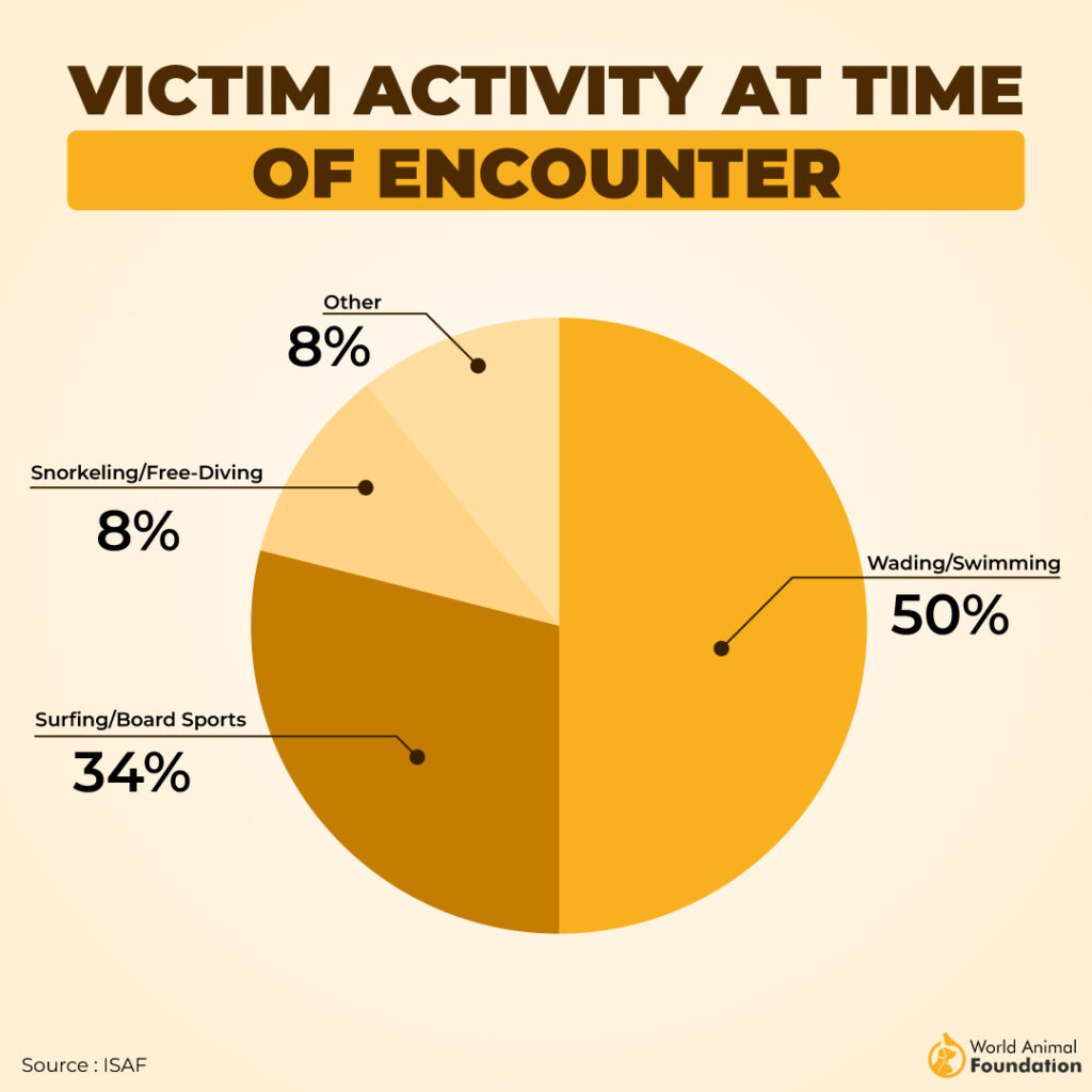 southern australia & carcharodon carcharias