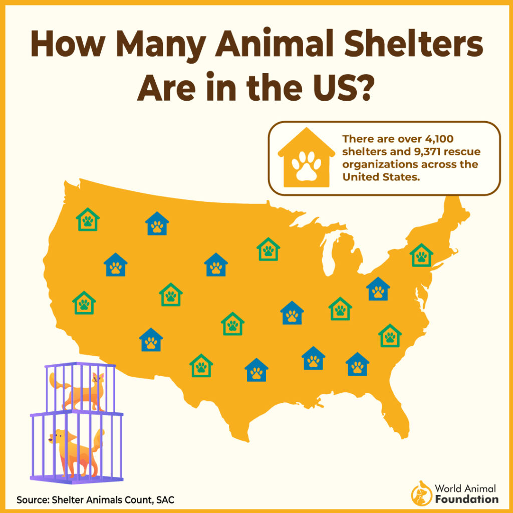 Map showing animal shelters in USA