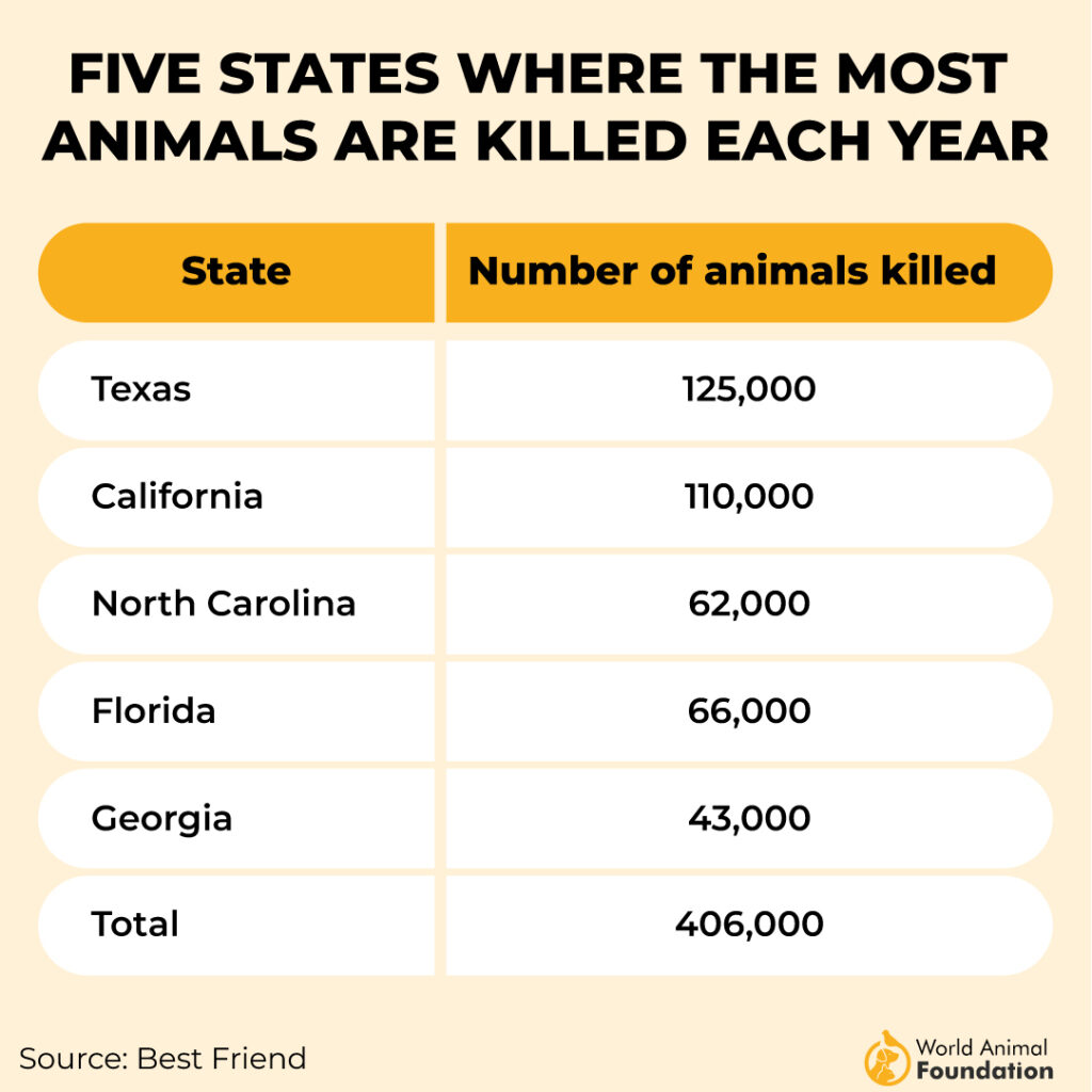 Number of No-Kill Shelters in US