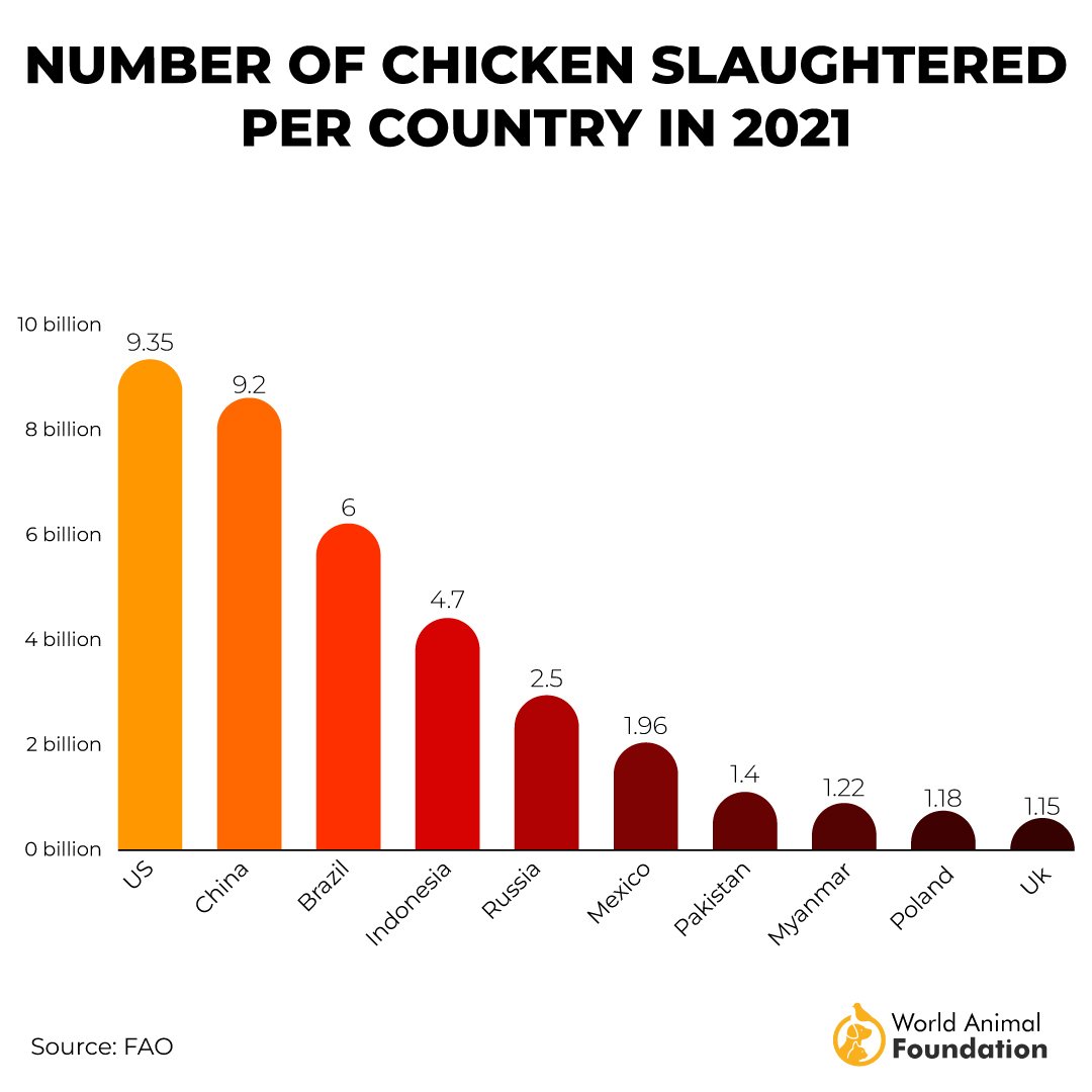 NUMBER OF CHICKEN SLAUGHTERED
PER COUNTRY IN 2021