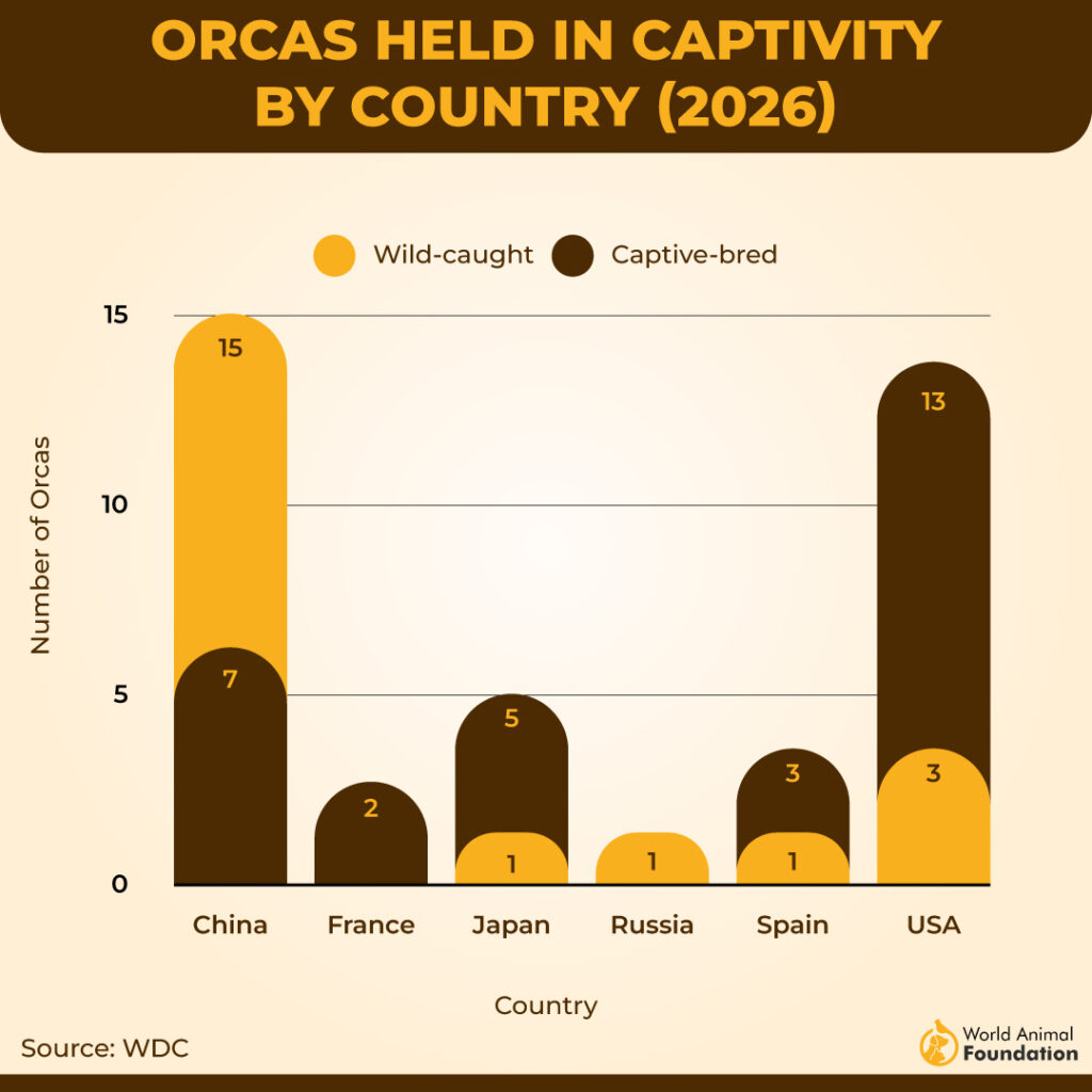 ORCAS HELD IN CAPTIVITY
BY COUNTRY (2026)