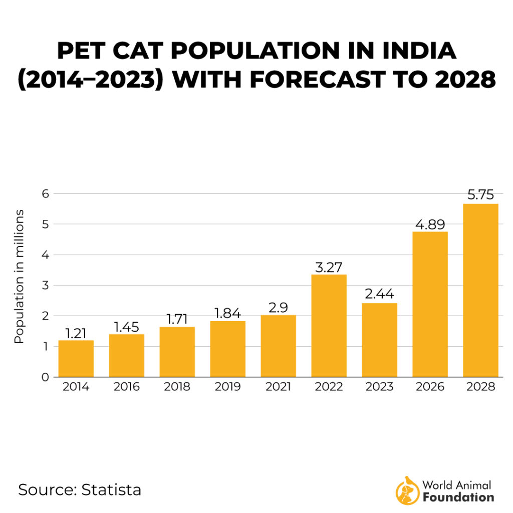 Increasing pet cat population in India