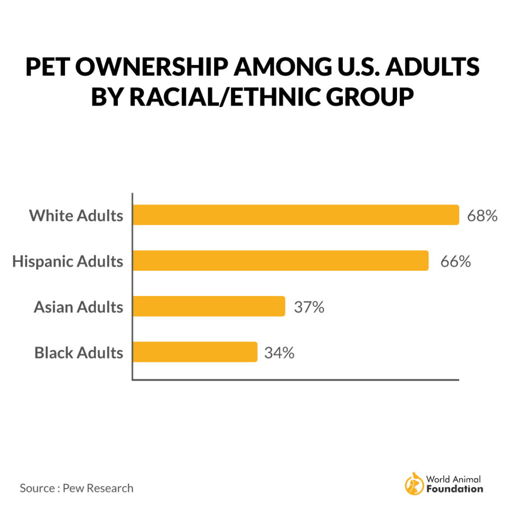 PET OWNERSHIP AMONG U.S. ADULTS
BY RACIAL/ETHNIC GROUP