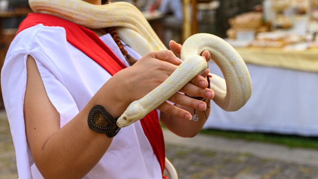 Snakes Pet Ownership Statistics