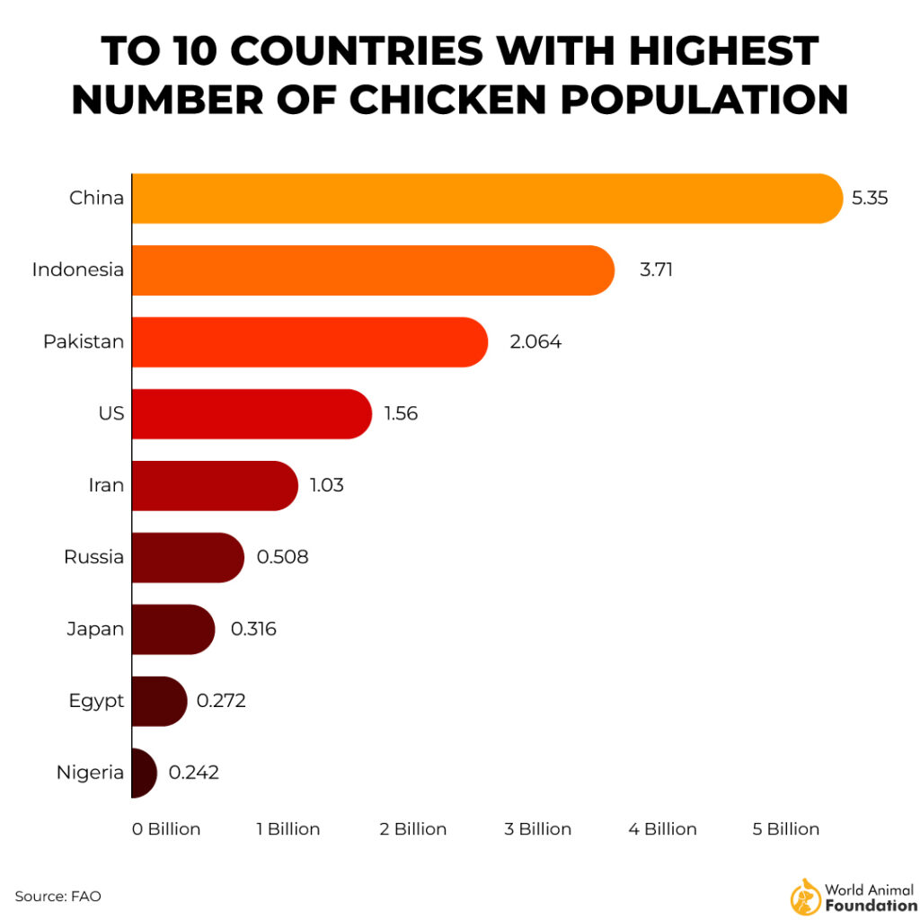 TO 10 COUNTRIES WITH HIGHEST
NUMBER OF CHICKEN POPULATION