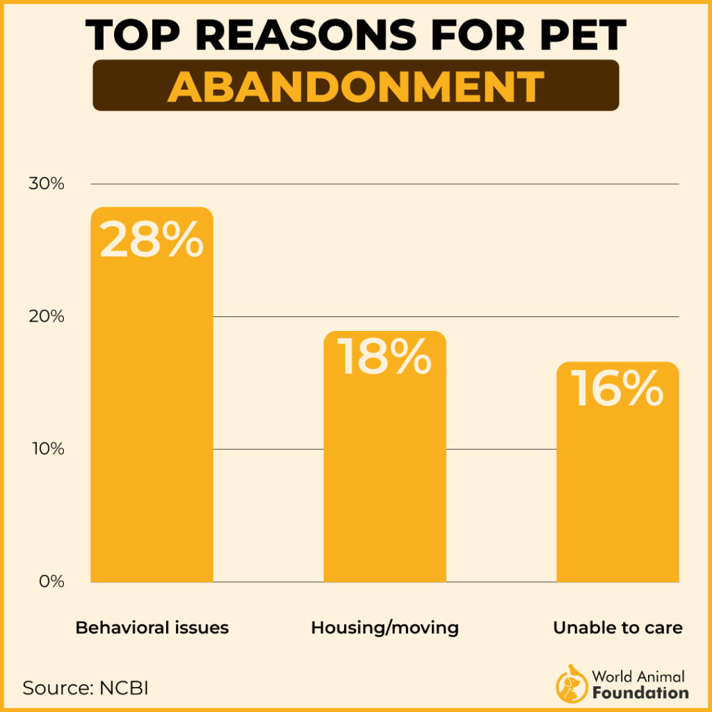 TOP REASONS FOR PET ABANDONMENT