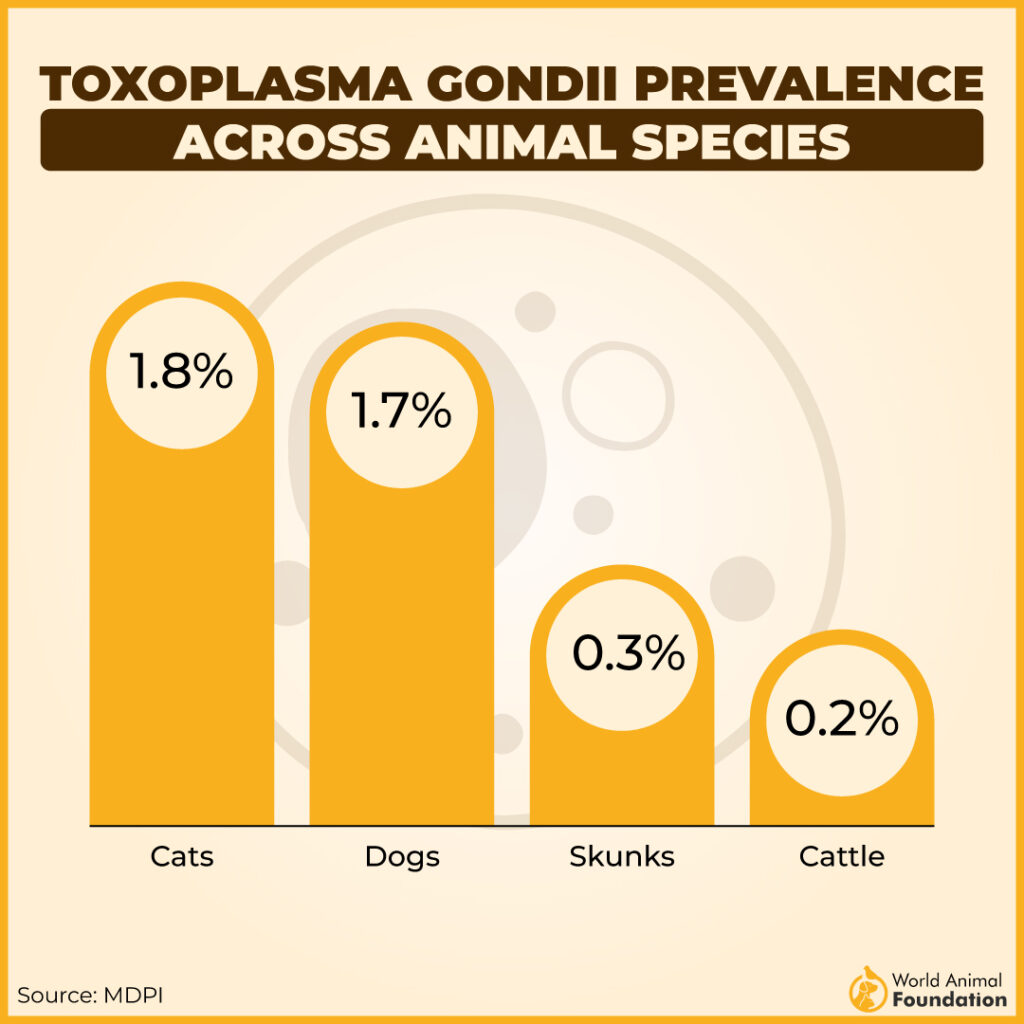 TOXOPLASMA GONDII PREVALENCE
ACROSS ANIMAL SPECIES
