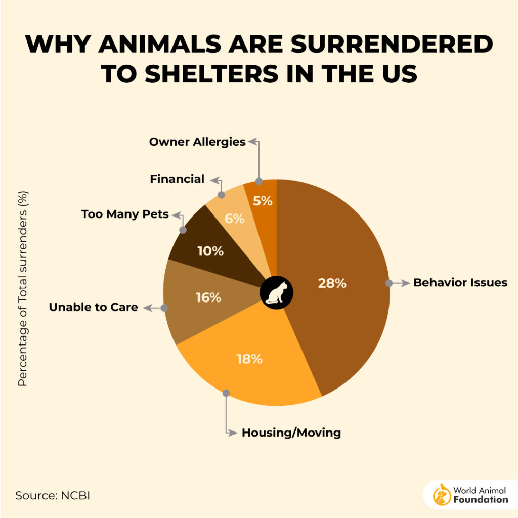 WHY ANIMALS ARE SURRENDERED
TO SHELTERS IN THE US