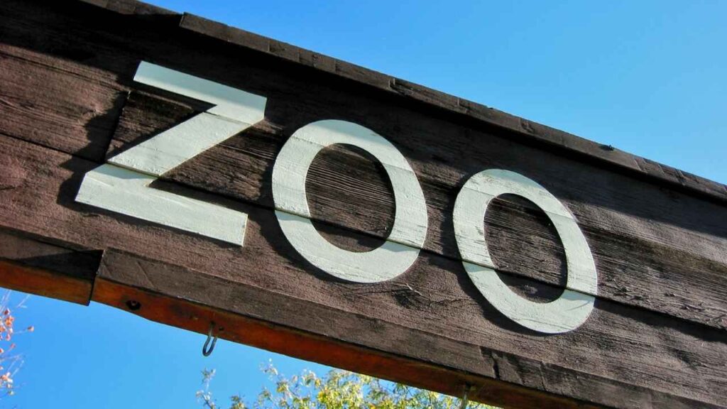 zoo
