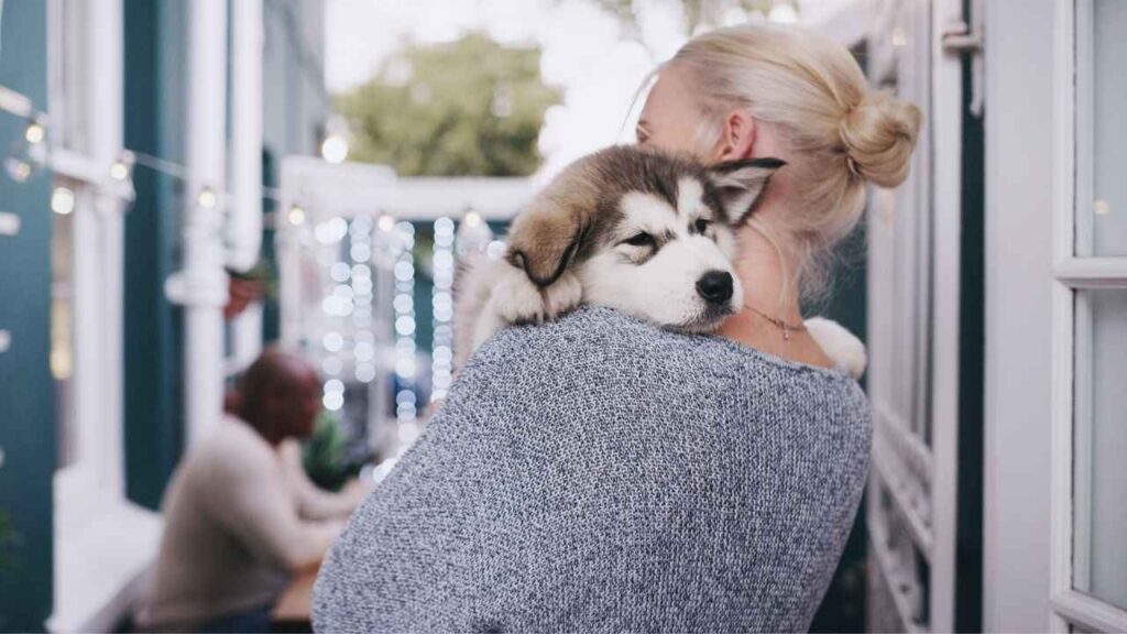 Dogs Can Assist in Decreasing Anxiety and Loneliness