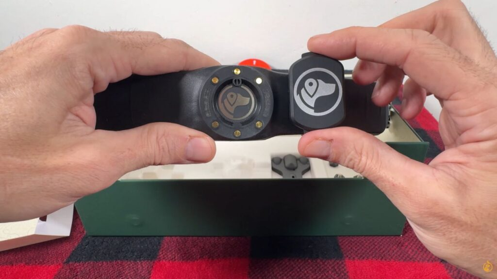 SpotOn GPS Dog fence