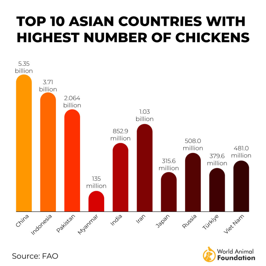 How many chickens are in the world