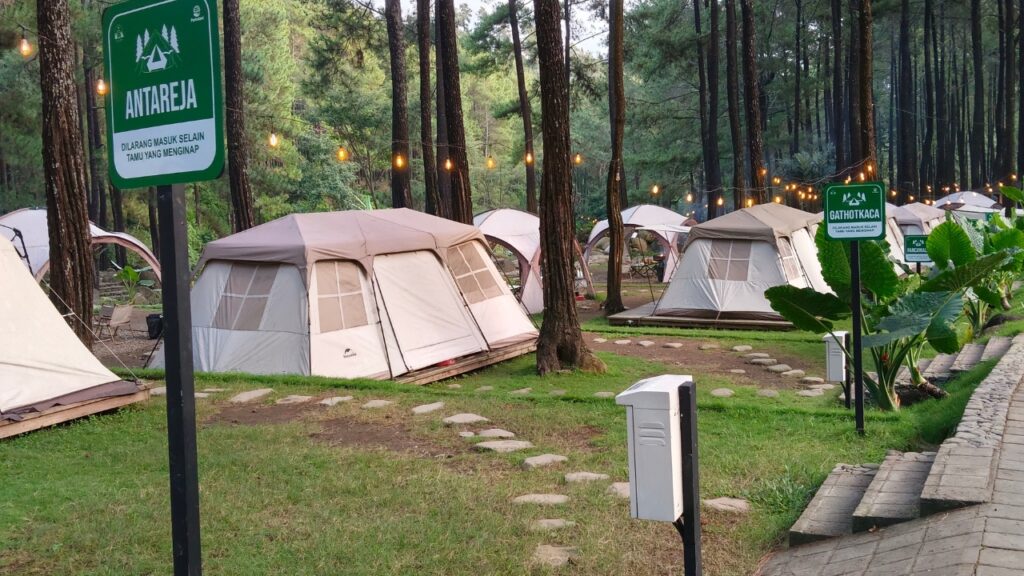 4 Paws Kingdom Campground