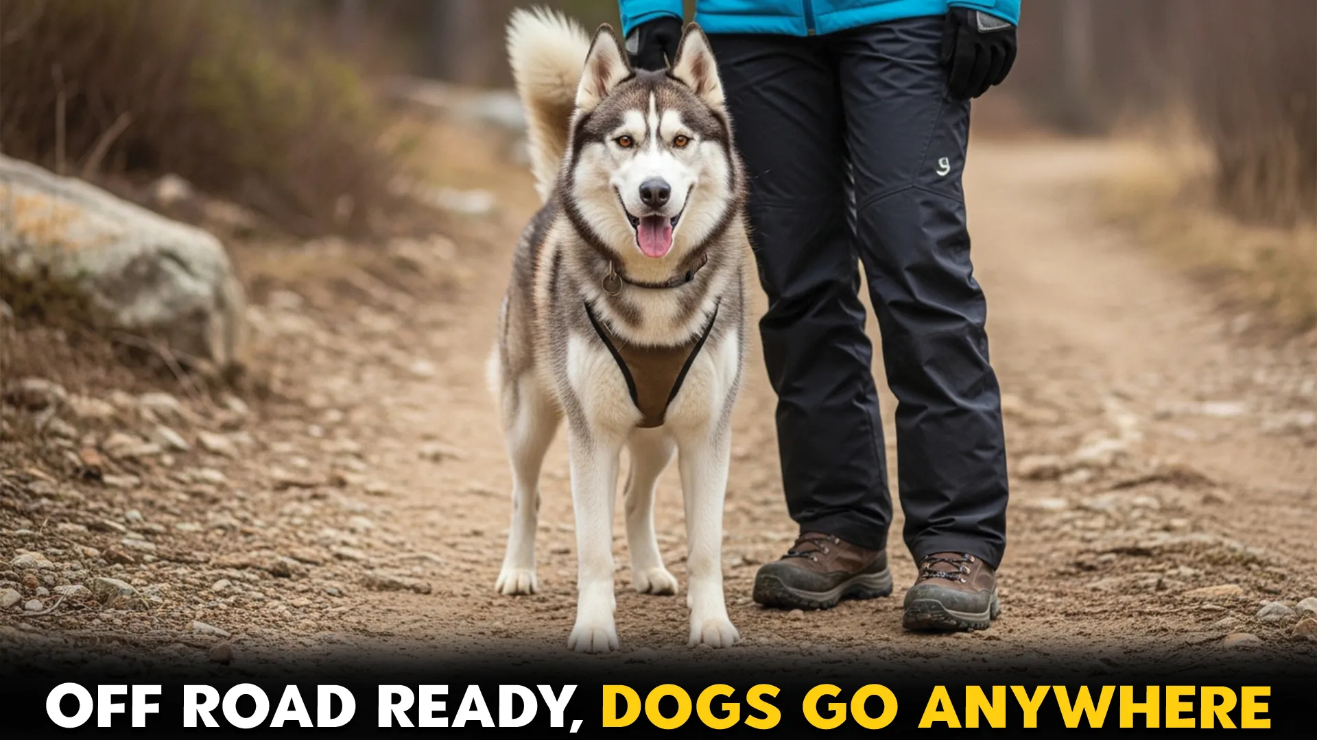 7-Rugged-Dog-Breeds-Perfect-for-Off‑Road-Excursions[1]