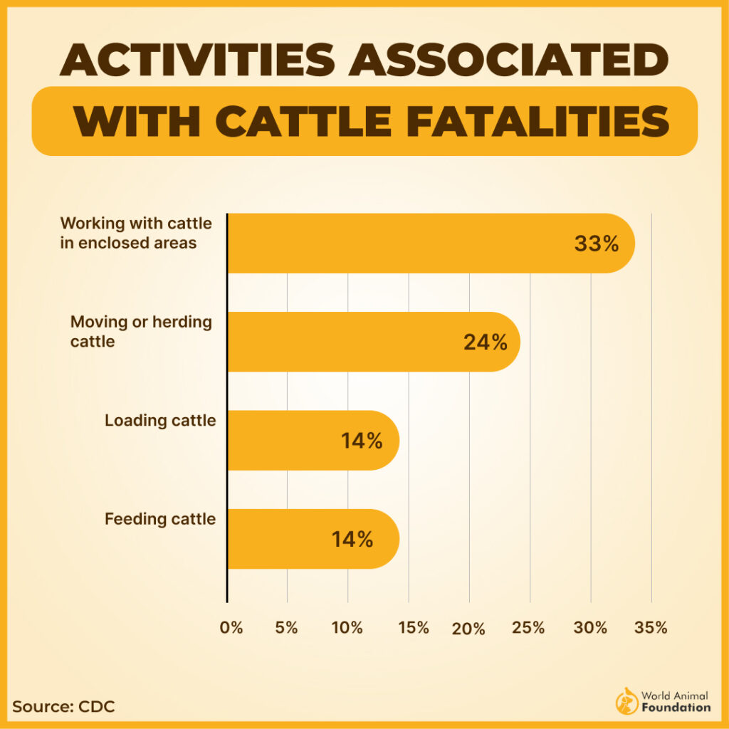 Circumstances Associated With Deaths by Cow Attacks: