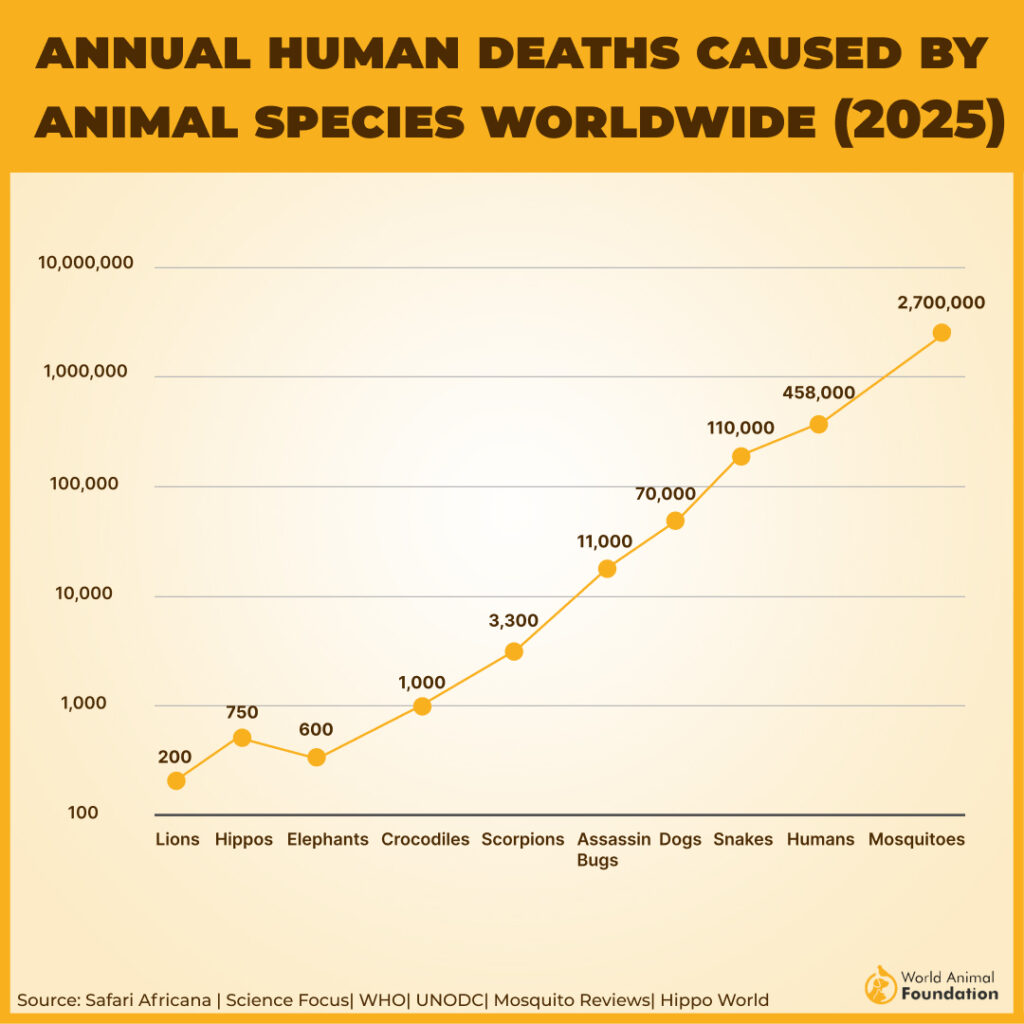 ANNUAL HUMAN DEATHS CAUSED BY
ANIMAL SPECIES WORLDWIDE (2025)