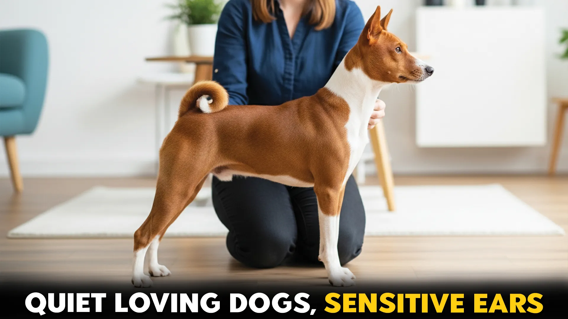 Best-Low-Noise-Dog-Breeds-for-Sensitive-Ears