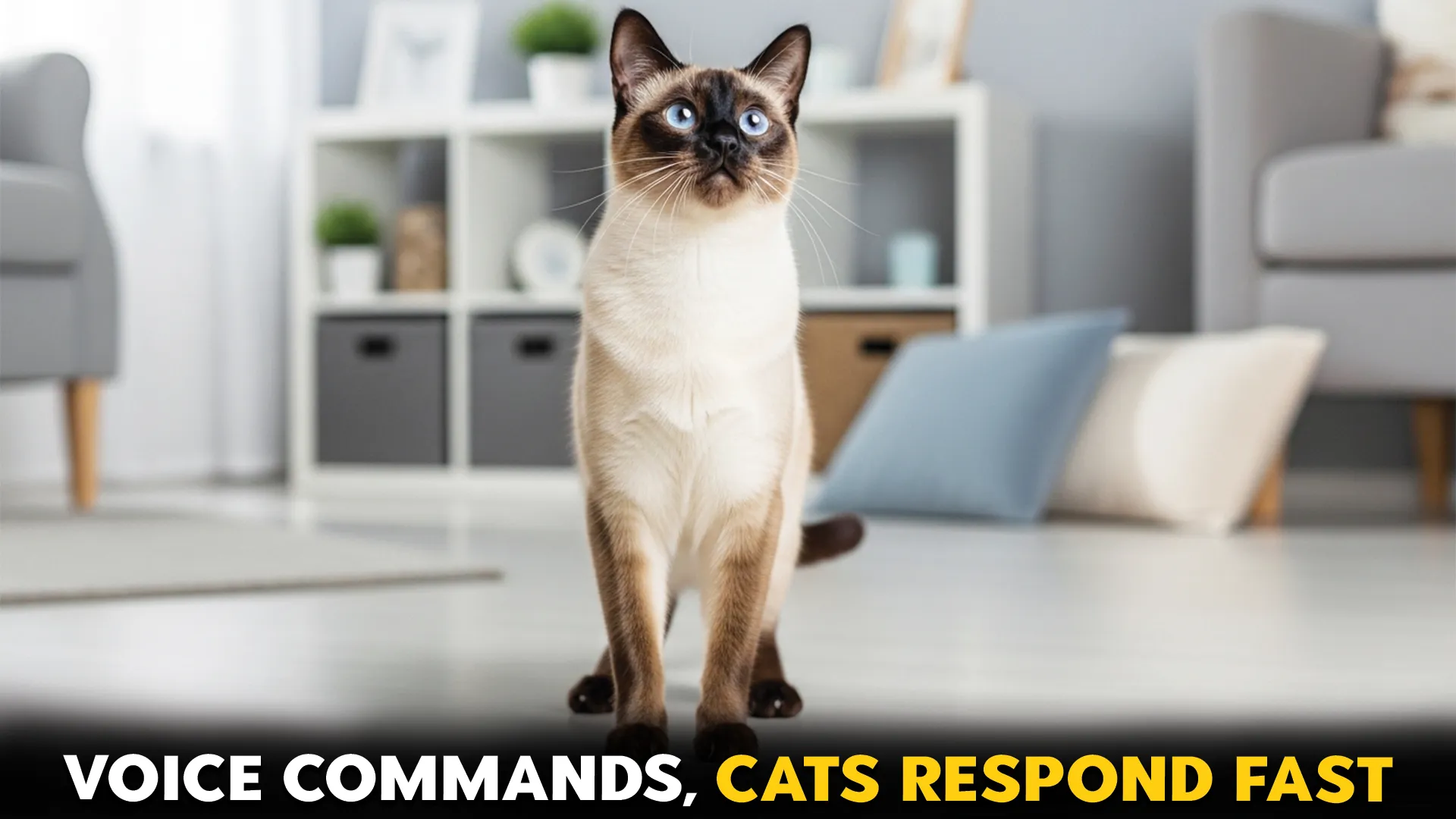 cat breeds that respond well to voice commands