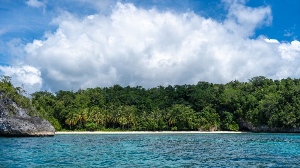 Davis Islands Dog Beach