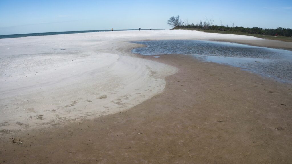 Fort De Soto Park Dog Beach