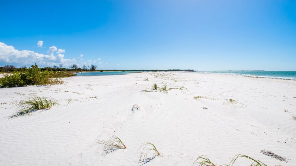 Fort De Soto Park Dog Beach