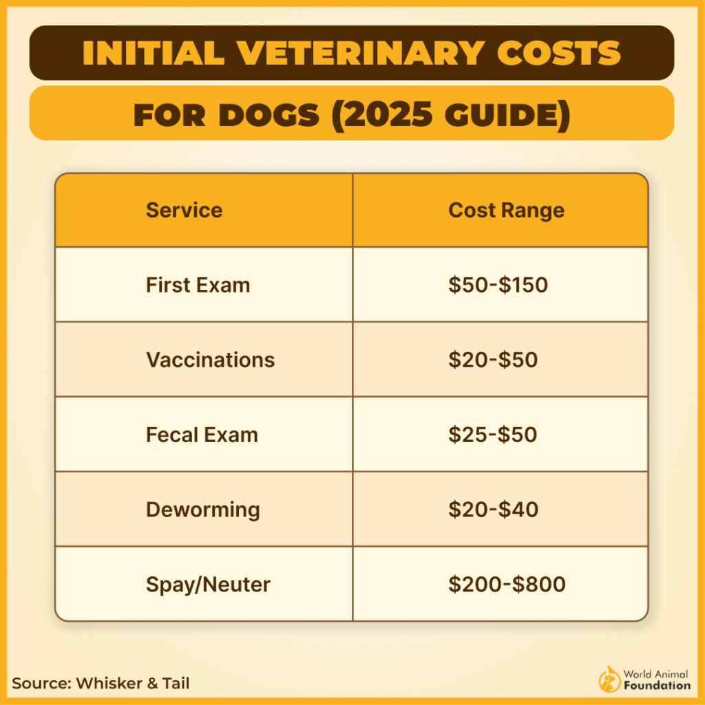 INITIAL VETERINARY COSTS
FOR DOGS (2025 GUIDE)