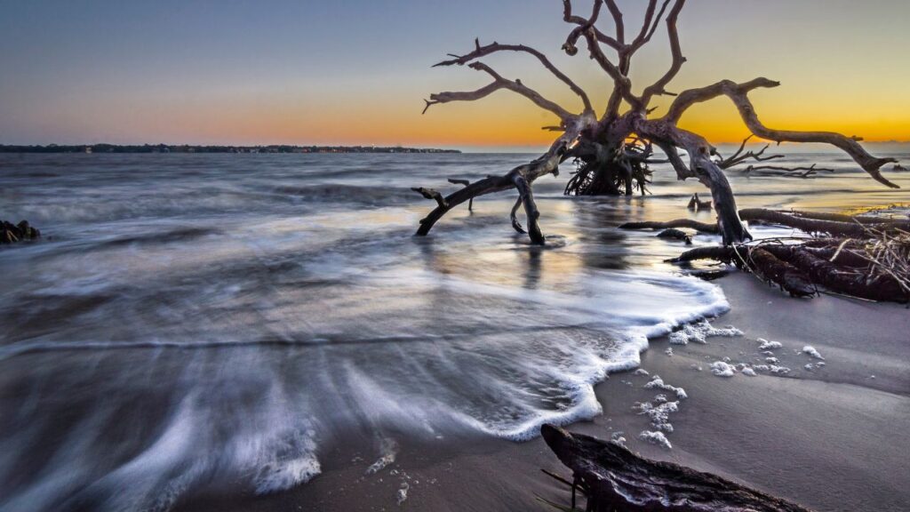 Jekyll Island