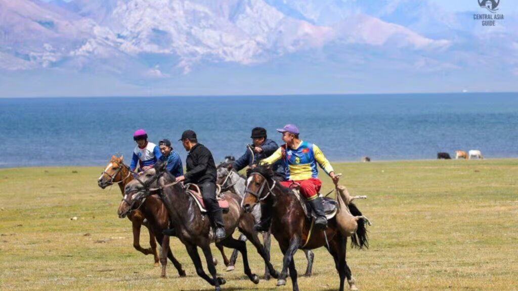 Kyrgyz Horse