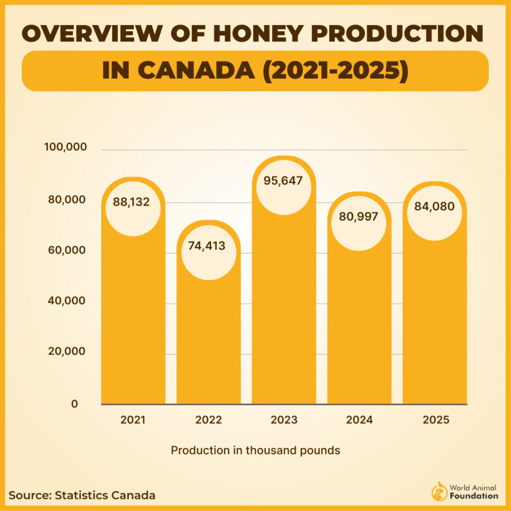 Honey Production in Canada