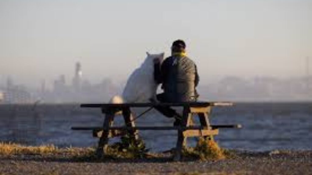 Point Isabel Regional Shoreline Dog Park