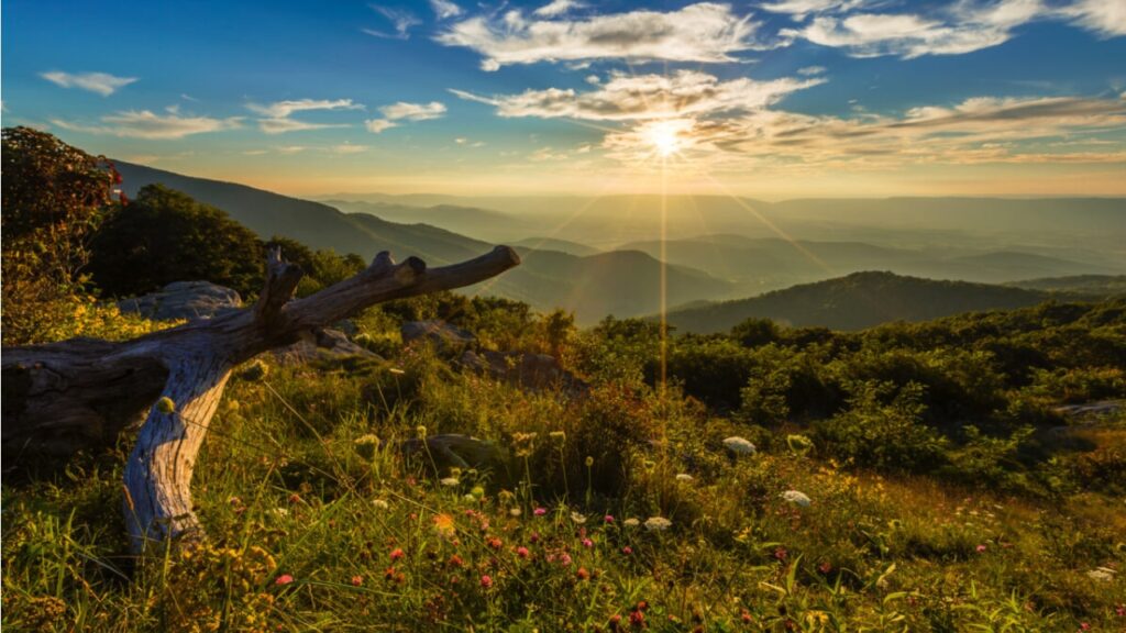 Shenandoah National Park