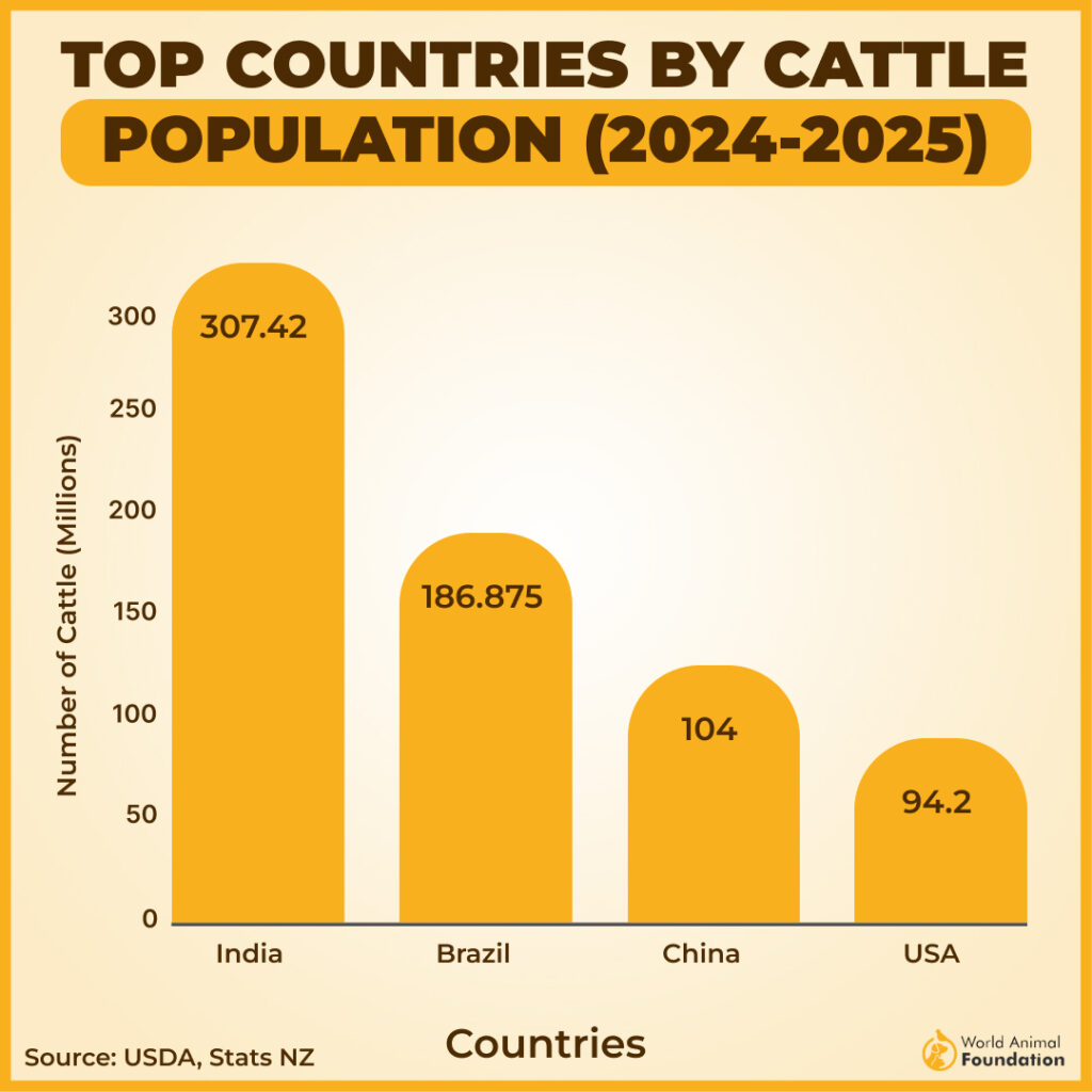 top countries by cattle