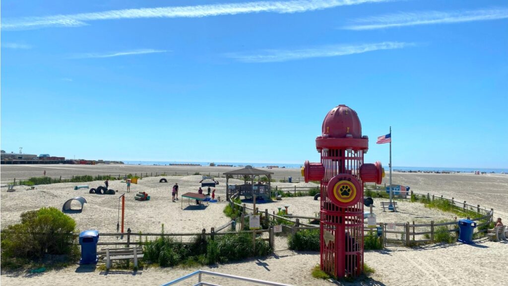 Wildwood Dog Park & Beach