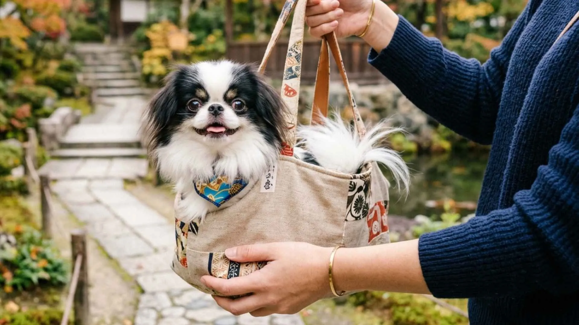 7 Sweet Pocket Dog Breeds: A Guide to Tiny Treasures