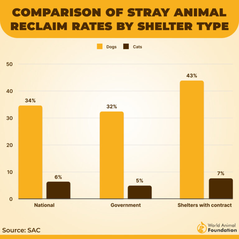 How Many Dogs How Many Dogs Are In The US In 2026