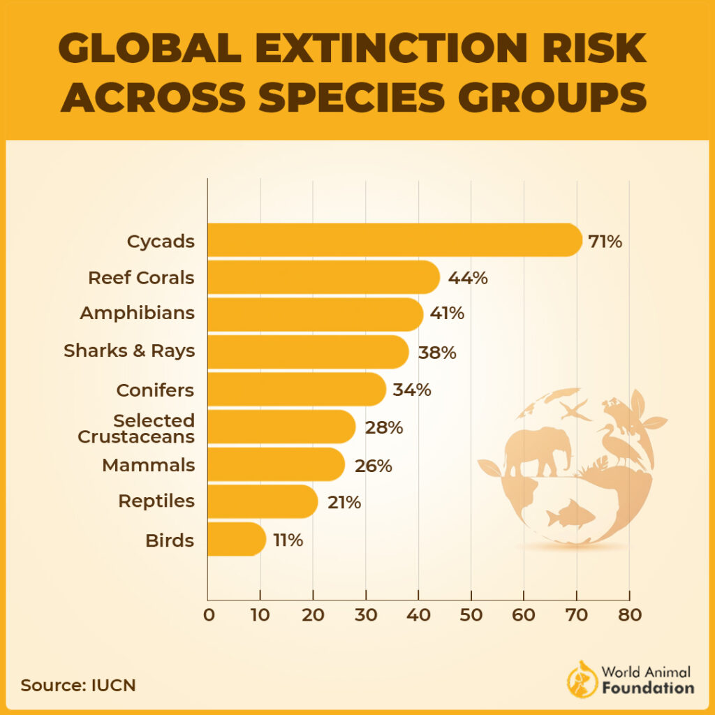 21% of All Reptiles Are Threatened With Extinction