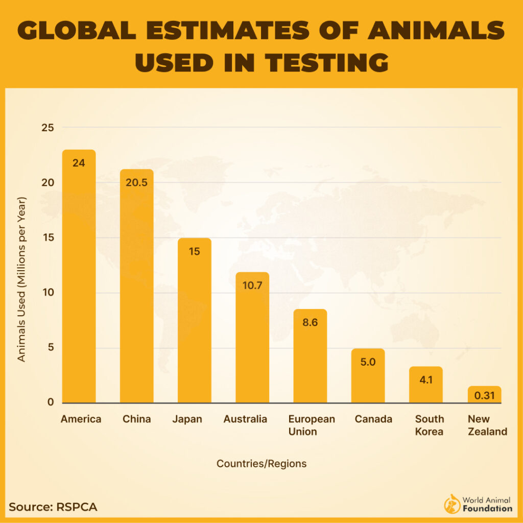 Top Animal Testing Countries Worldwide