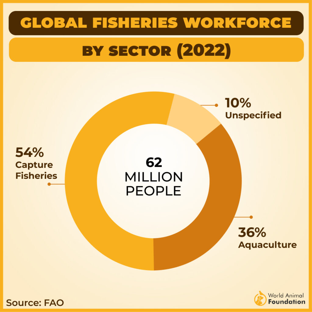 62 Million People Globally Were Employed Either as Fishers