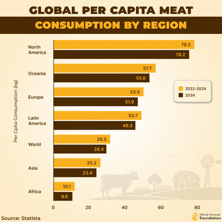 how much beef is consumed in the world? [2024 stats &... Most Consumed Meat In The World In 2026