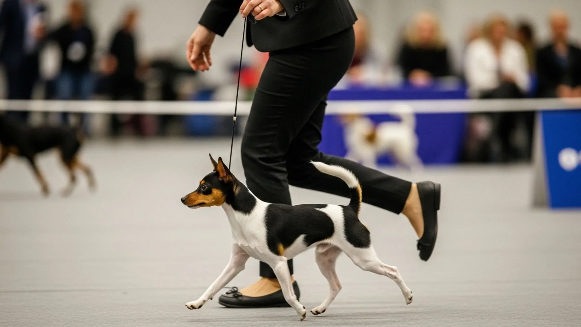 Best Small Dog Breeds for High Energy and Happiness