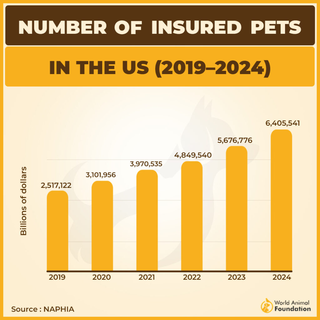 NUMBER OF INSURED PETS IN
THE US (2019-2024)