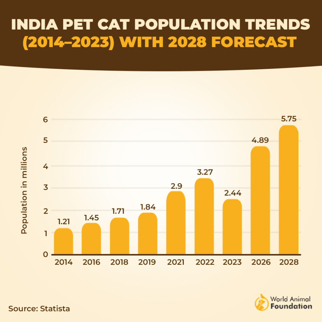 Increasing pet cat population in India