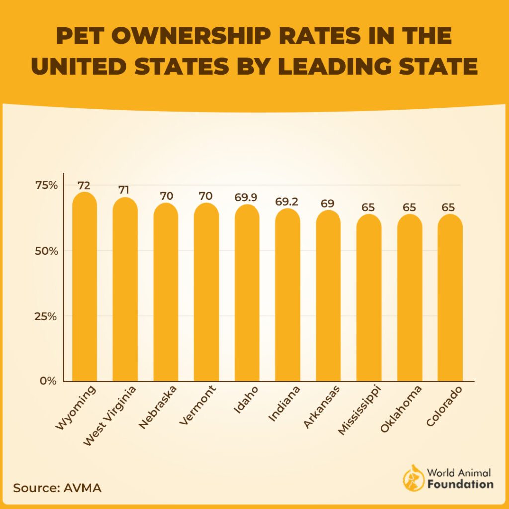  total pet cats and dogs many pet owners