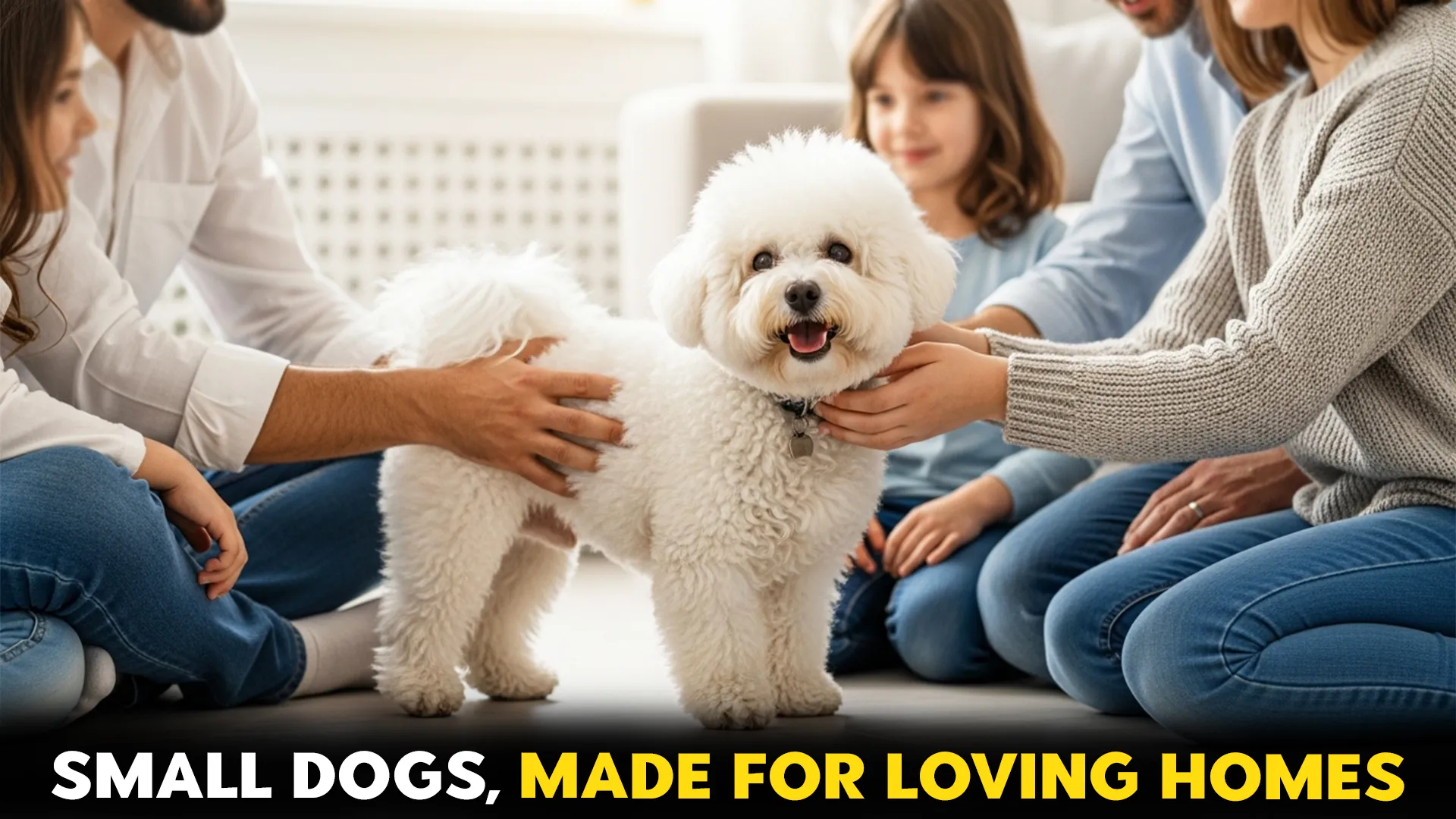 Precious Small Dog Breeds for a Loving Household