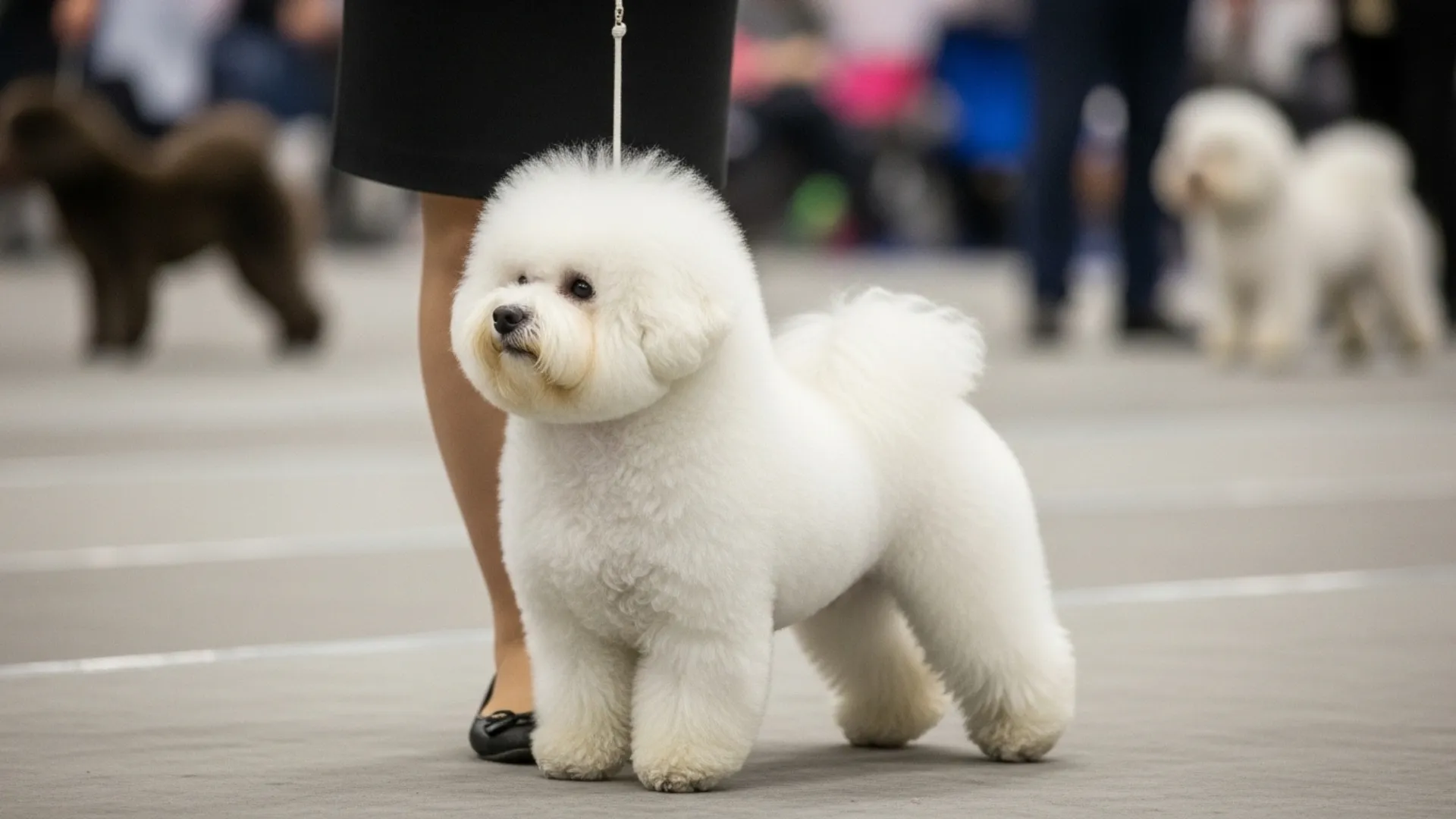 Precious Small Dog Breeds That Stay Tiny Forever