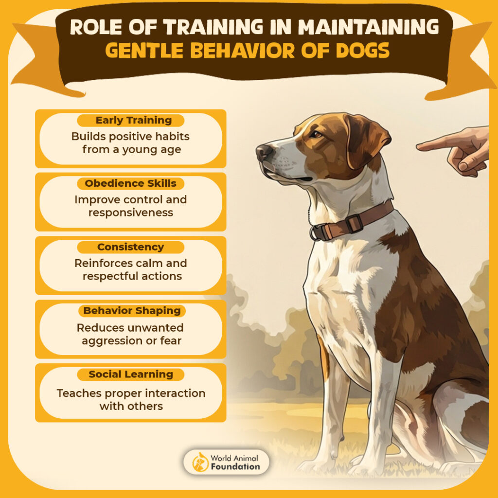 ROLE-OF-TRAINING-IN-MAINTAINING-GENTLE-BEHAVIOR-OF-DOGS