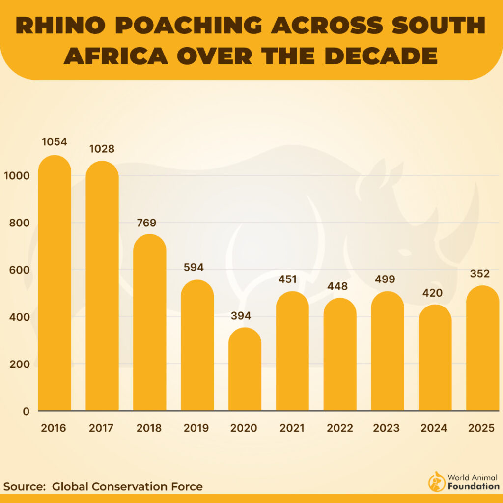 AFRICAN RHINOS POACHED
OVER THE LAST DECADE